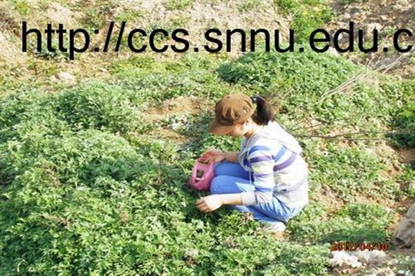 澳门网上赌场
