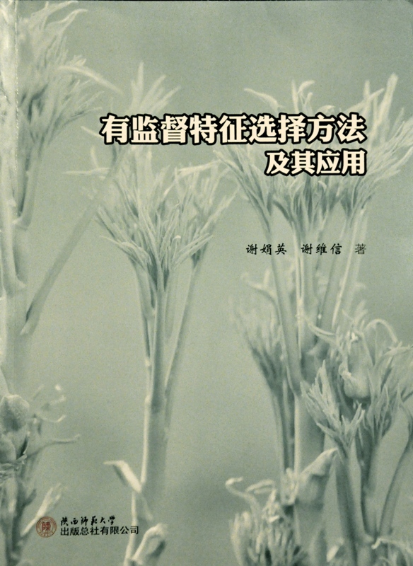 澳门网上赌场